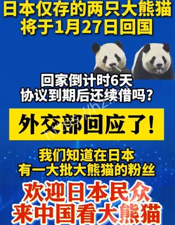 向日本租借大熊猫