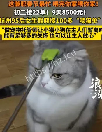 女生上门喂猫
